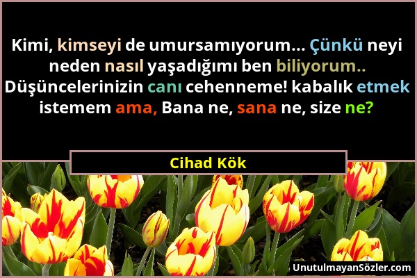 Cihad Kök - Kimi, kimseyi de umursamıyorum... Çünkü neyi neden nasıl yaşadığımı ben biliyorum.. Düşüncelerinizin canı cehenneme! kabalık etmek istemem...