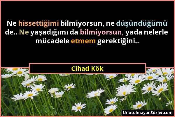 Cihad Kök - Ne hissettiğimi bilmiyorsun, ne düşündüğümü de.. Ne yaşadığımı da bilmiyorsun, yada nelerle mücadele etmem gerektiğini.....