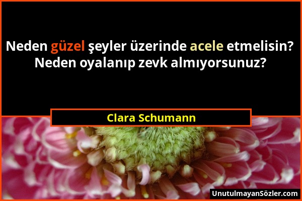 Clara Schumann - Neden güzel şeyler üzerinde acele etmelisin? Neden oyalanıp zevk almıyorsunuz?...