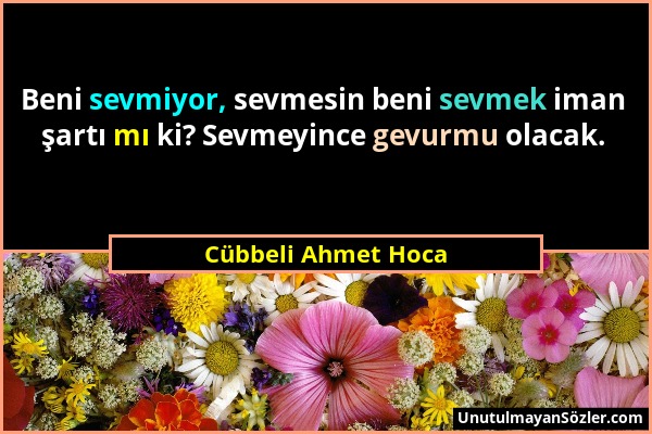 Cübbeli Ahmet Hoca - Beni sevmiyor, sevmesin beni sevmek iman şartı mı ki? Sevmeyince gevurmu olacak....