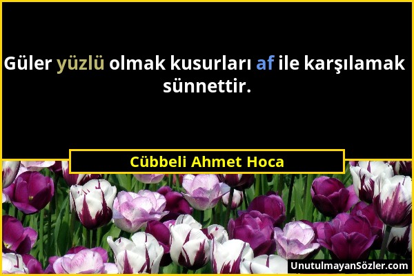 Cübbeli Ahmet Hoca - Güler yüzlü olmak kusurları af ile karşılamak sünnettir....