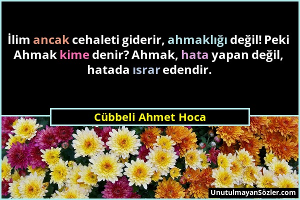 Cübbeli Ahmet Hoca - İlim ancak cehaleti giderir, ahmaklığı değil! Peki Ahmak kime denir? Ahmak, hata yapan değil, hatada ısrar edendir....