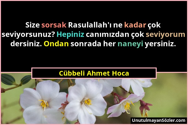 Cübbeli Ahmet Hoca - Size sorsak Rasulallah'ı ne kadar çok seviyorsunuz? Hepiniz canımızdan çok seviyorum dersiniz. Ondan sonrada her naneyi yersiniz....