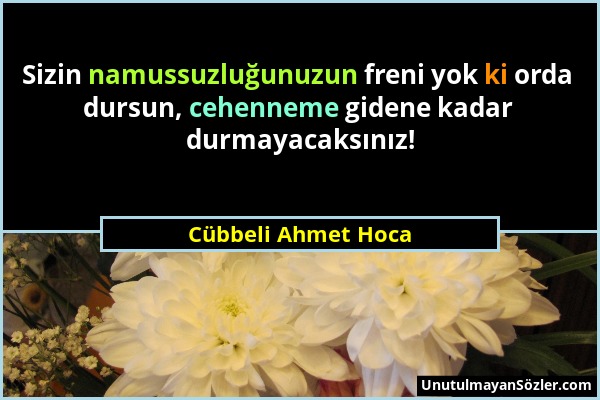 Cübbeli Ahmet Hoca - Sizin namussuzluğunuzun freni yok ki orda dursun, cehenneme gidene kadar durmayacaksınız!...