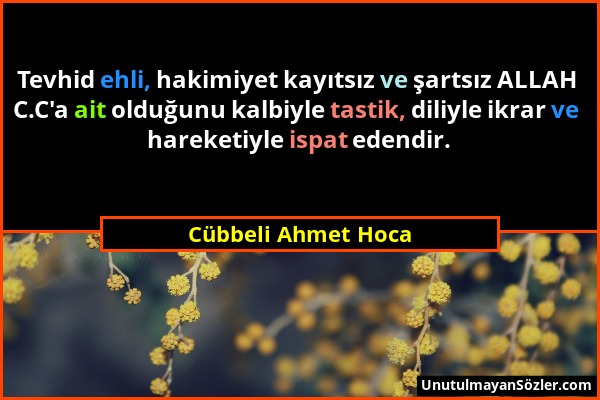 Cübbeli Ahmet Hoca - Tevhid ehli, hakimiyet kayıtsız ve şartsız ALLAH C.C'a ait olduğunu kalbiyle tastik, diliyle ikrar ve hareketiyle ispat edendir....