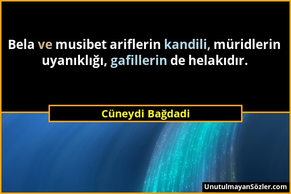 Cüneydi Bağdadi - Bela ve musibet ariflerin kandili, müridlerin uyanıklığı, gafillerin de helakıdır....