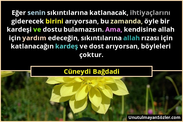 Cüneydi Bağdadi - Eğer senin sıkıntılarına katlanacak, ihtiyaçlarını giderecek birini arıyorsan, bu zamanda, öyle bir kardeşi ve dostu bulamazsın. Ama...