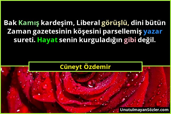 Cüneyt Özdemir - Bak Kamış kardeşim, Liberal görüşlü, dini bütün Zaman gazetesinin köşesini parsellemiş yazar sureti. Hayat senin kurguladığın gibi de...