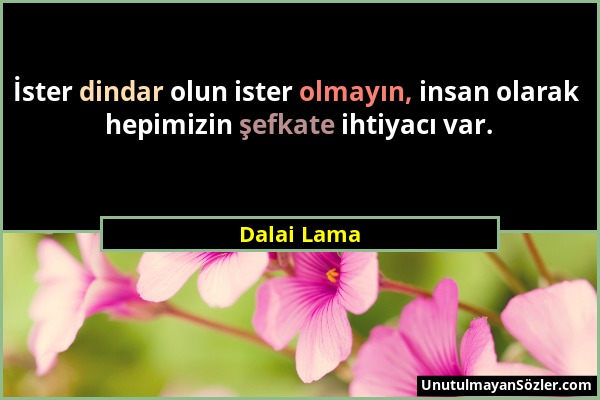 Dalai Lama - İster dindar olun ister olmayın, insan olarak hepimizin şefkate ihtiyacı var....