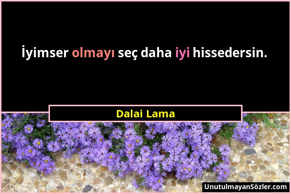 Dalai Lama - İyimser olmayı seç daha iyi hissedersin....