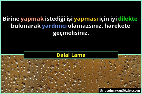 Dalai Lama - Birine yapmak istediği işi yapması için iyi dilekte bulunarak yardımcı olamazsınız, harekete geçmelisiniz....