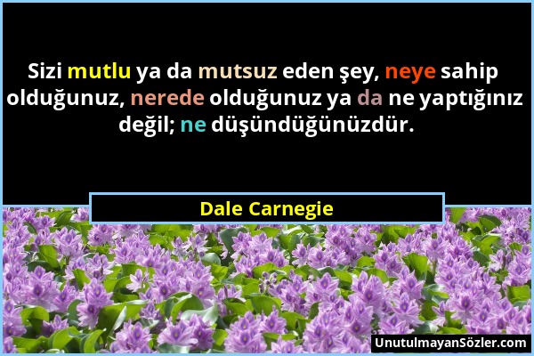 Dale Carnegie - Sizi mutlu ya da mutsuz eden şey, neye sahip olduğunuz, nerede olduğunuz ya da ne yaptığınız değil; ne düşündüğünüzdür....
