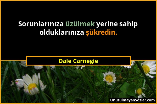 Dale Carnegie - Sorunlarınıza üzülmek yerine sahip olduklarınıza şükredin....