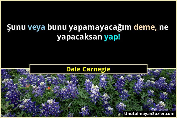 Dale Carnegie - Şunu veya bunu yapamayacağım deme, ne yapacaksan yap!...