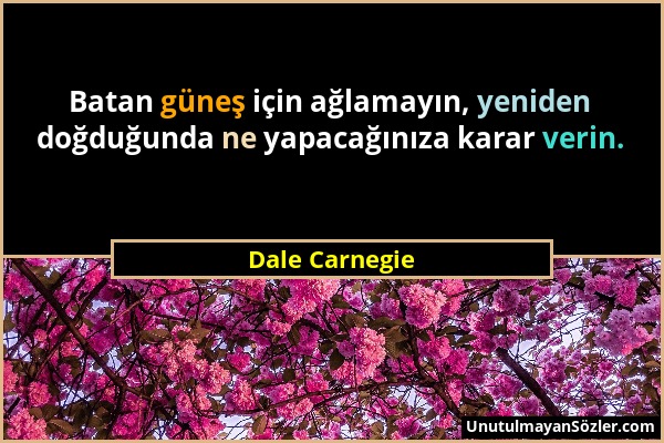 Dale Carnegie - Batan güneş için ağlamayın, yeniden doğduğunda ne yapacağınıza karar verin....