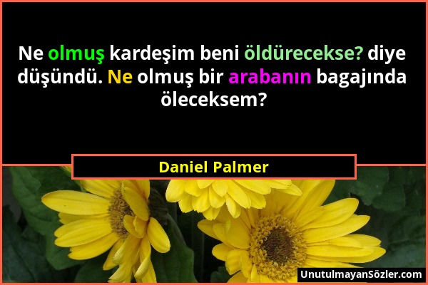 Daniel Palmer - Ne olmuş kardeşim beni öldürecekse? diye düşündü. Ne olmuş bir arabanın bagajında öleceksem?...