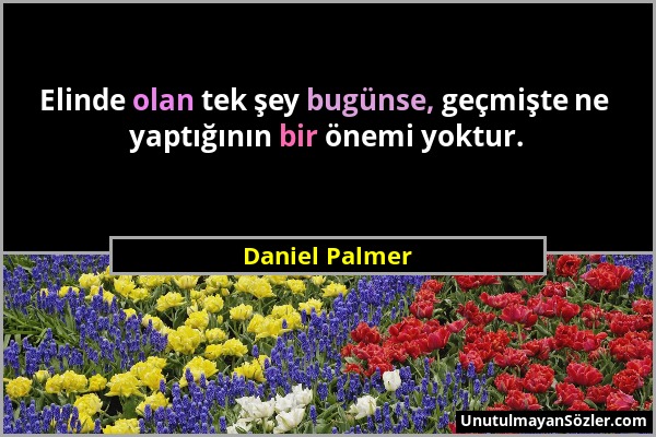 Daniel Palmer - Elinde olan tek şey bugünse, geçmişte ne yaptığının bir önemi yoktur....