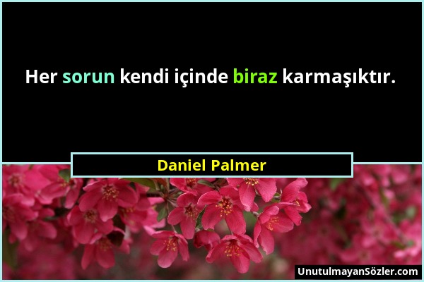 Daniel Palmer - Her sorun kendi içinde biraz karmaşıktır....
