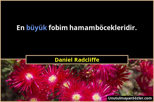Daniel Radcliffe - En büyük fobim hamamböcekleridir....