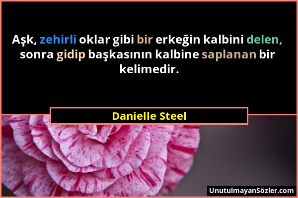 Danielle Steel - Aşk, zehirli oklar gibi bir erkeğin kalbini delen, sonra gidip başkasının kalbine saplanan bir kelimedir....