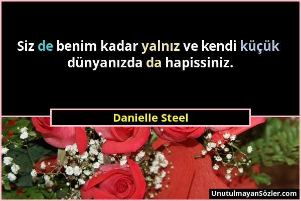 Danielle Steel - Siz de benim kadar yalnız ve kendi küçük dünyanızda da hapissiniz....