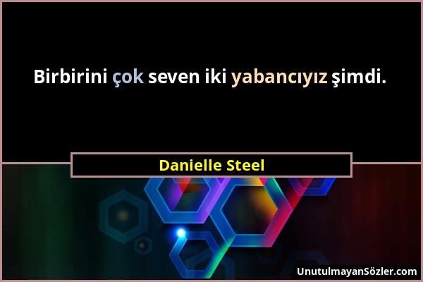 Danielle Steel - Birbirini çok seven iki yabancıyız şimdi....
