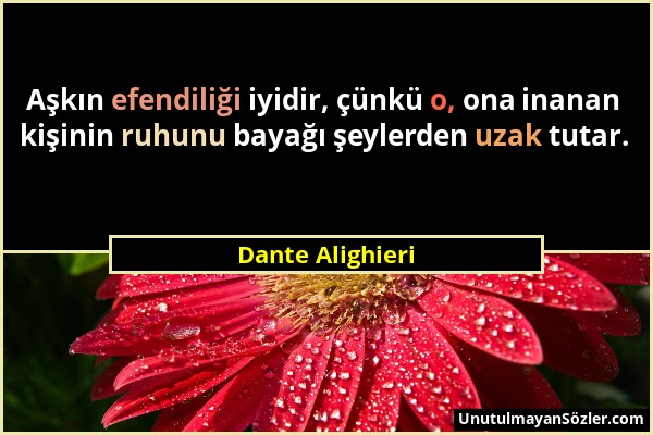 Dante Alighieri - Aşkın efendiliği iyidir, çünkü o, ona inanan kişinin ruhunu bayağı şeylerden uzak tutar....