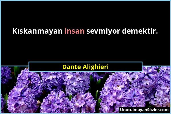 Dante Alighieri - Kıskanmayan insan sevmiyor demektir....