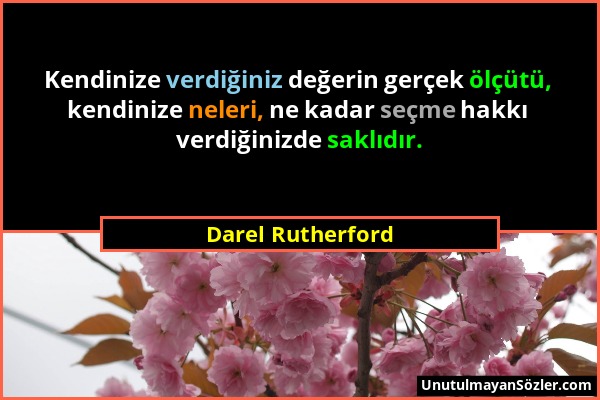 Darel Rutherford - Kendinize verdiğiniz değerin gerçek ölçütü, kendinize neleri, ne kadar seçme hakkı verdiğinizde saklıdır....