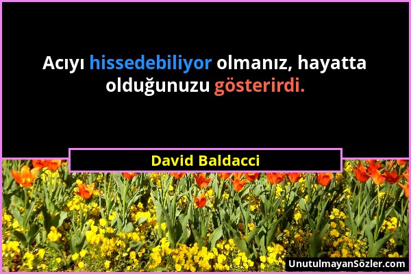 David Baldacci - Acıyı hissedebiliyor olmanız, hayatta olduğunuzu gösterirdi....