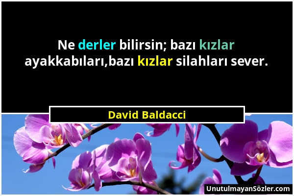 David Baldacci - Ne derler bilirsin; bazı kızlar ayakkabıları,bazı kızlar silahları sever....