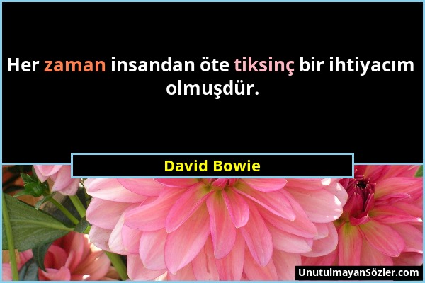 David Bowie - Her zaman insandan öte tiksinç bir ihtiyacım olmuşdür....