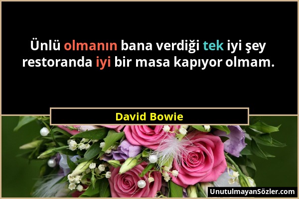 David Bowie - Ünlü olmanın bana verdiği tek iyi şey restoranda iyi bir masa kapıyor olmam....