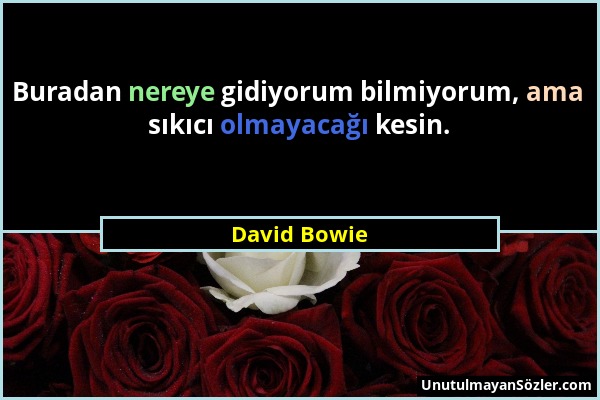 David Bowie - Buradan nereye gidiyorum bilmiyorum, ama sıkıcı olmayacağı kesin....