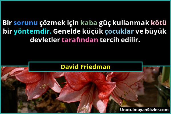 David Friedman - Bir sorunu çözmek için kaba güç kullanmak kötü bir yöntemdir. Genelde küçük çocuklar ve büyük devletler tarafından tercih edilir....