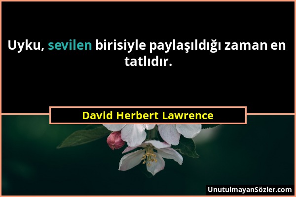 David Herbert Lawrence - Uyku, sevilen birisiyle paylaşıldığı zaman en tatlıdır....