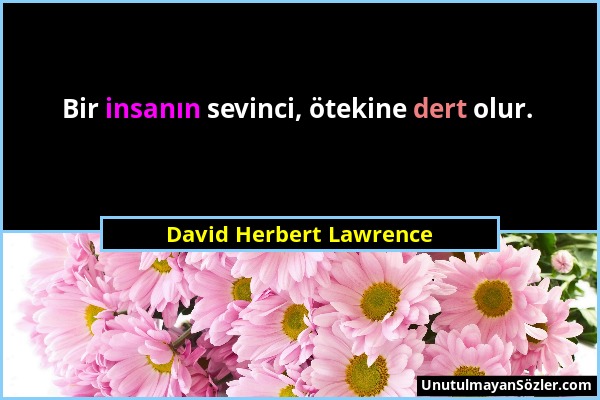 David Herbert Lawrence - Bir insanın sevinci, ötekine dert olur....