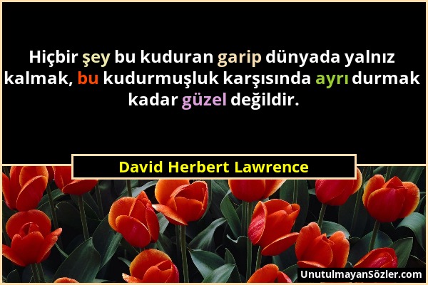 David Herbert Lawrence - Hiçbir şey bu kuduran garip dünyada yalnız kalmak, bu kudurmuşluk karşısında ayrı durmak kadar güzel değildir....