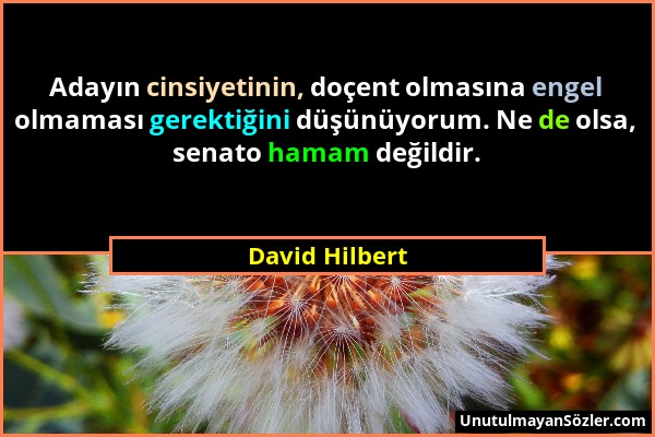 David Hilbert - Adayın cinsiyetinin, doçent olmasına engel olmaması gerektiğini düşünüyorum. Ne de olsa, senato hamam değildir....