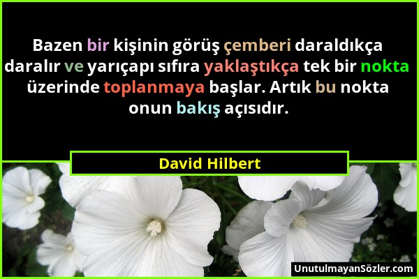 David Hilbert - Bazen bir kişinin görüş çemberi daraldıkça daralır ve yarıçapı sıfıra yaklaştıkça tek bir nokta üzerinde toplanmaya başlar. Artık bu n...