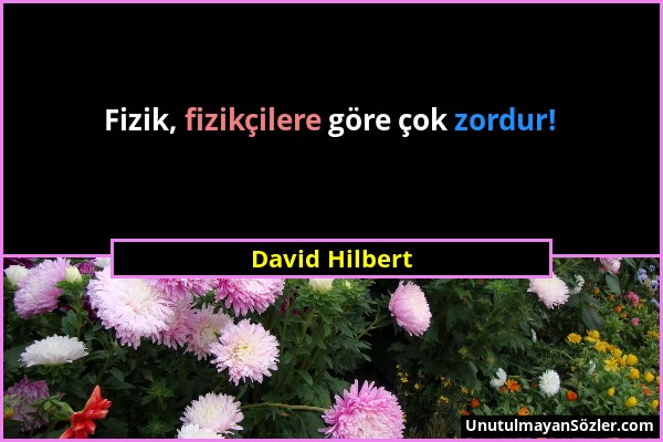 David Hilbert - Fizik, fizikçilere göre çok zordur!...