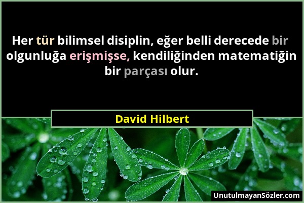 David Hilbert - Her tür bilimsel disiplin, eğer belli derecede bir olgunluğa erişmişse, kendiliğinden matematiğin bir parçası olur....