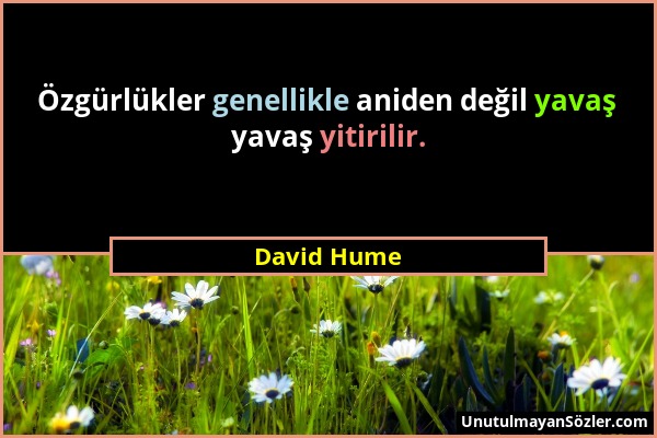 David Hume - Özgürlükler genellikle aniden değil yavaş yavaş yitirilir....