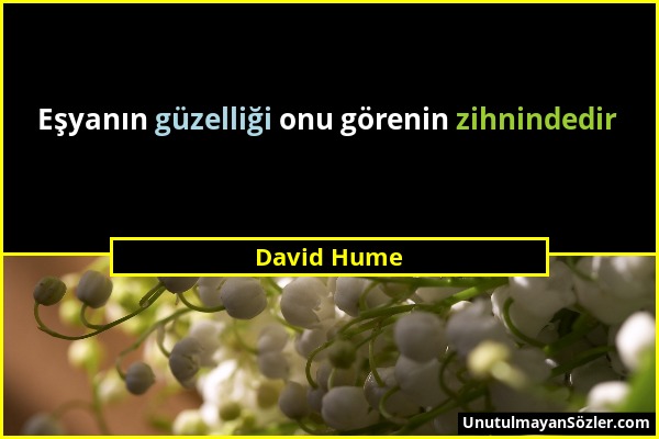 David Hume - Eşyanın güzelliği onu görenin zihnindedir...