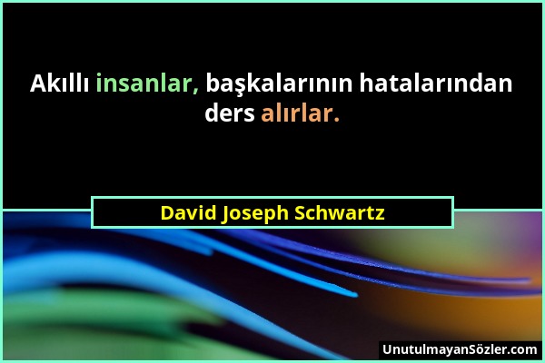 David Joseph Schwartz - Akıllı insanlar, başkalarının hatalarından ders alırlar....