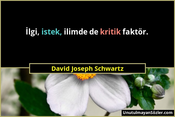 David Joseph Schwartz - İlgi, istek, ilimde de kritik faktör....