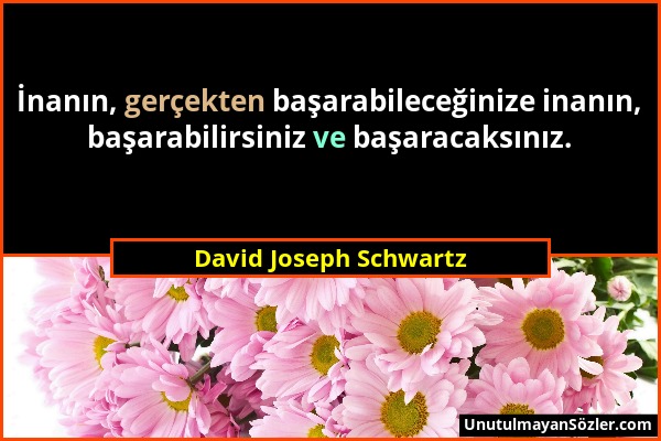 David Joseph Schwartz - İnanın, gerçekten başarabileceğinize inanın, başarabilirsiniz ve başaracaksınız....