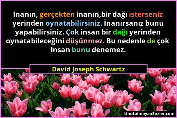 David Joseph Schwartz - İnanın, gerçekten inanın,bir dağı isterseniz yerinden oynatabilirsiniz. İnanırsanız bunu yapabilirsiniz. Çok insan bir dağı ye...