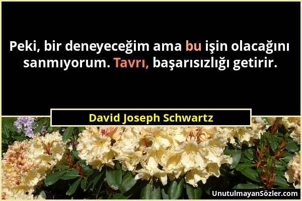 David Joseph Schwartz - Peki, bir deneyeceğim ama bu işin olacağını sanmıyorum. Tavrı, başarısızlığı getirir....