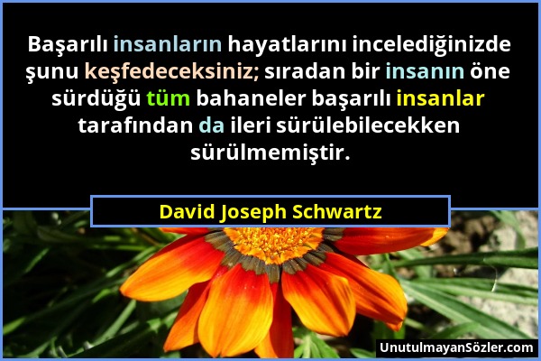 David Joseph Schwartz - Başarılı insanların hayatlarını incelediğinizde şunu keşfedeceksiniz; sıradan bir insanın öne sürdüğü tüm bahaneler başarılı i...